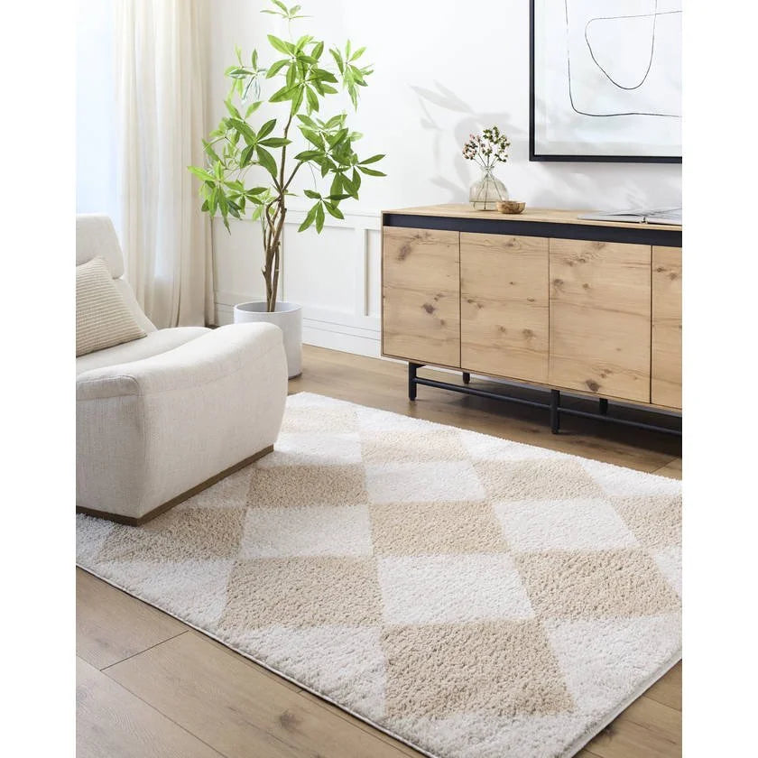 Jason Modern Beige Washable Area Rug - Puck's Home Store