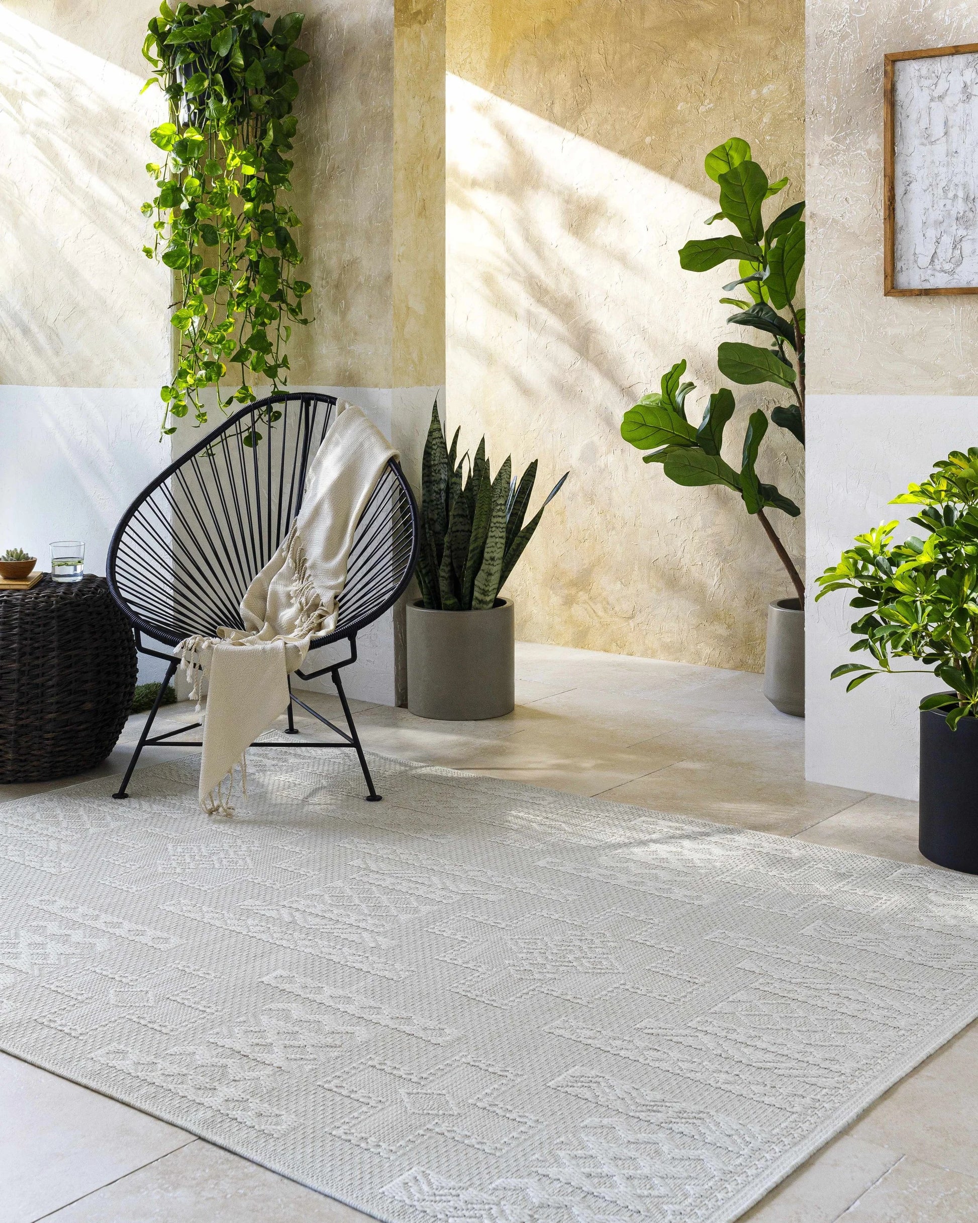 Branko Area Rug - Puck's Home Store