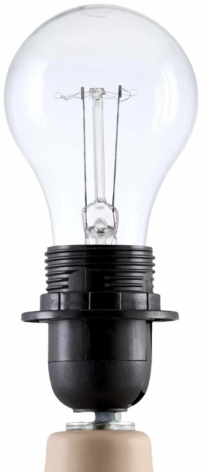 Lumellogno Coral Table Lamp