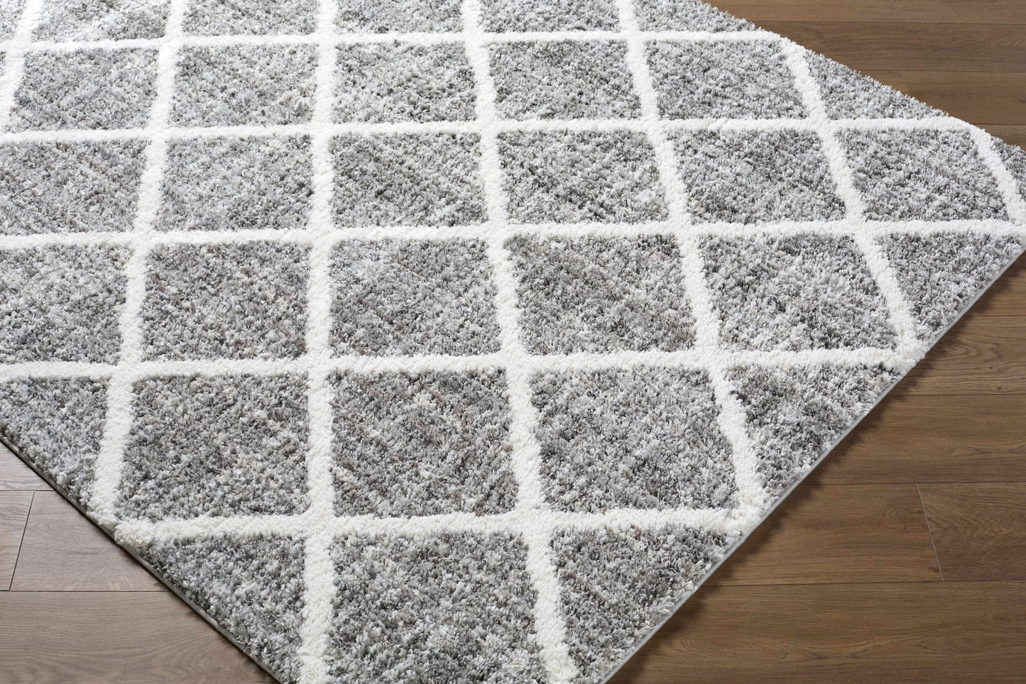 Anuhea Light Gray Area Rug