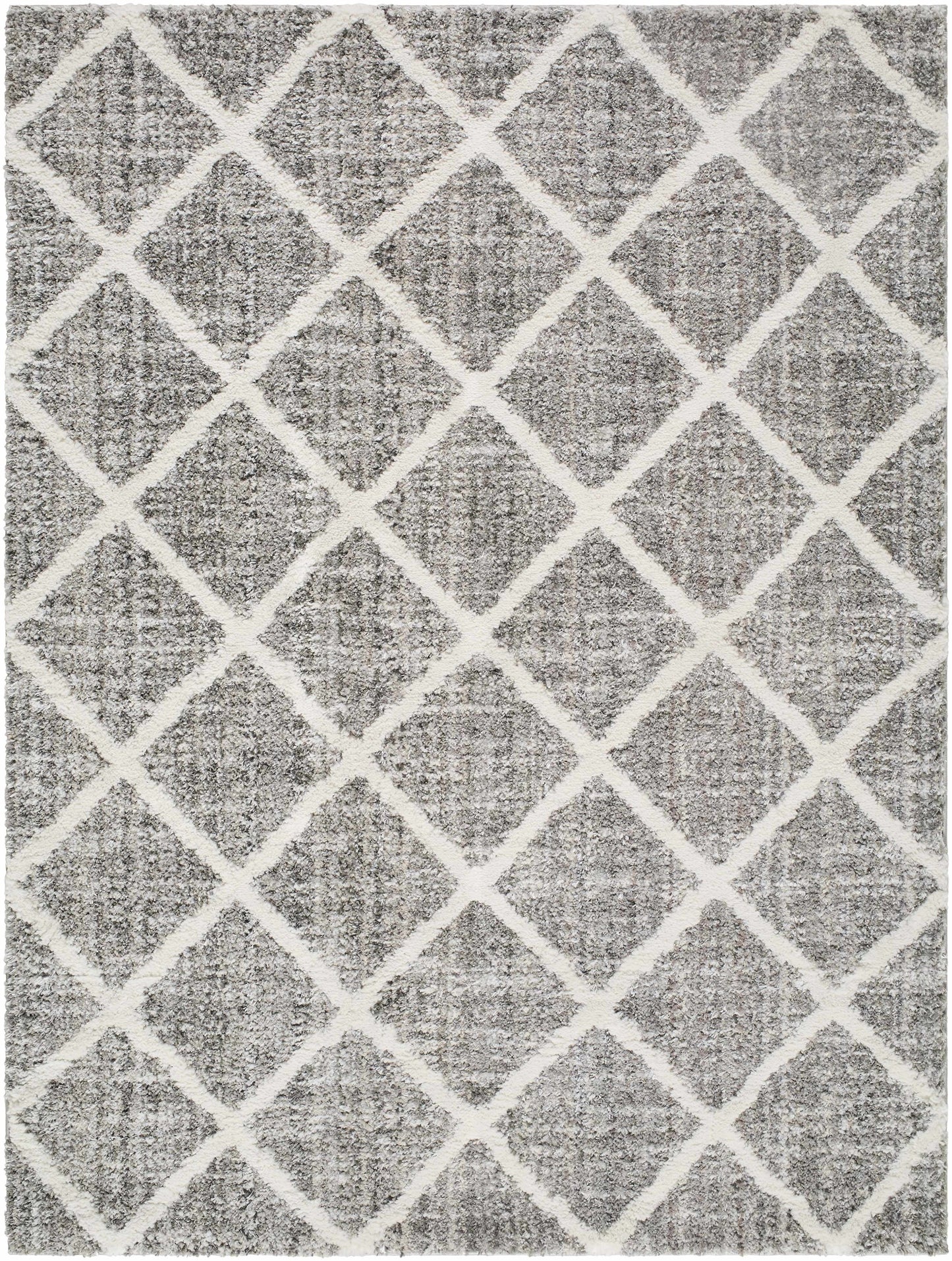 Anuhea Light Gray Area Rug