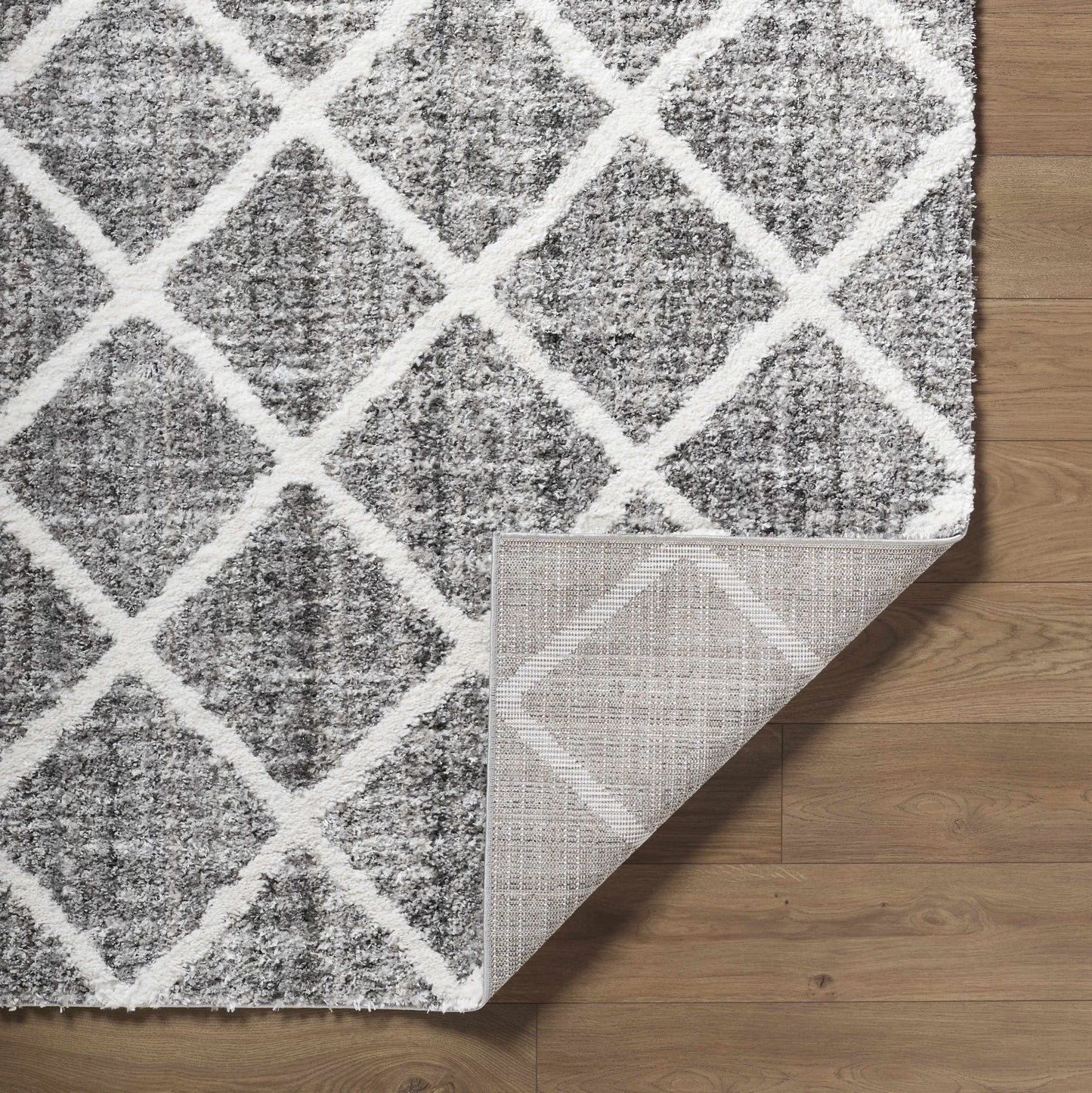 Anuhea Light Gray Area Rug