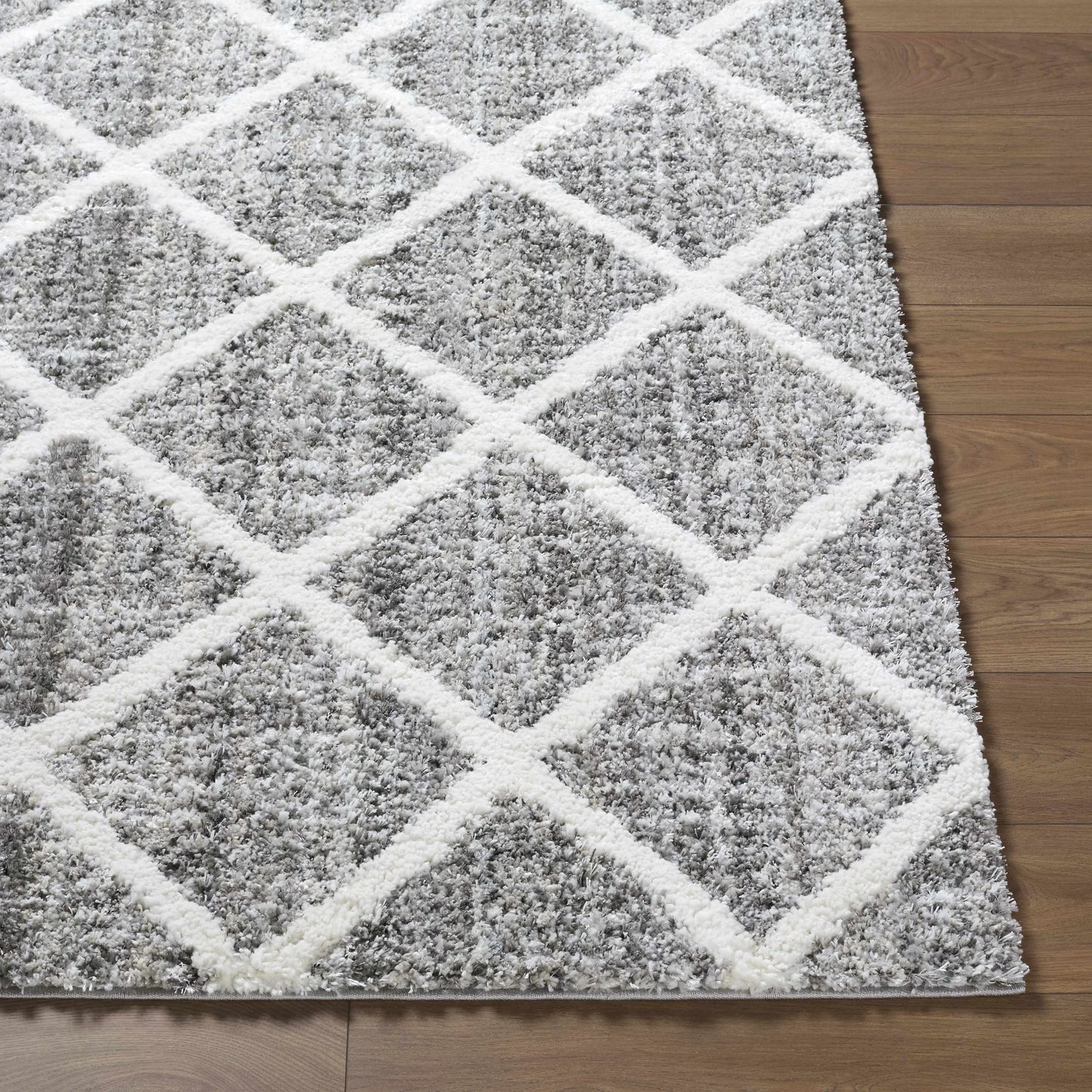 Anuhea Light Gray Area Rug