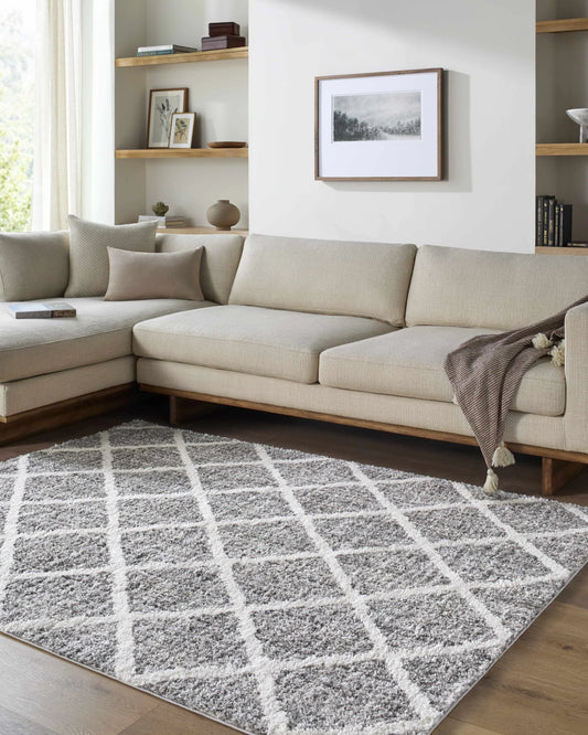Anuhea Light Gray Area Rug