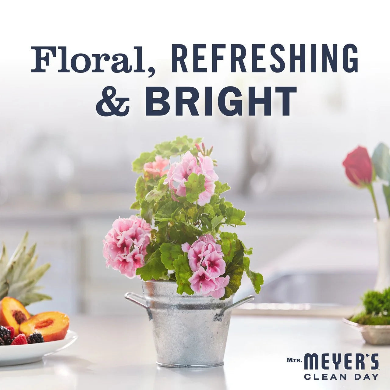 MMCD MULT SRFC ED GER ( 6 X 16 OZ   )