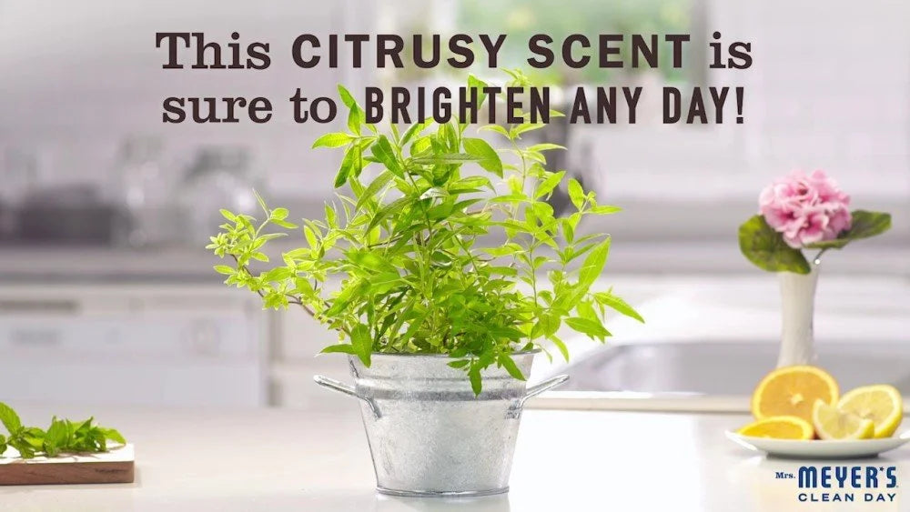 MMCD MULT SRFC CLNR LEM ( 6 X 32 OZ   )