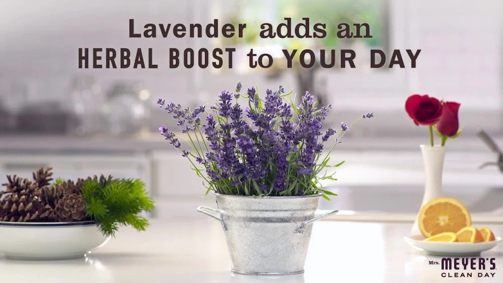 MMCD MULT SRFC CLNR LAV ( 6 X 32 OZ   )